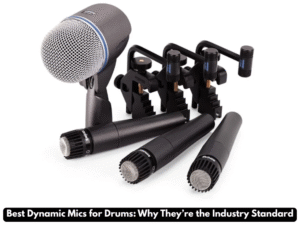 drum mic